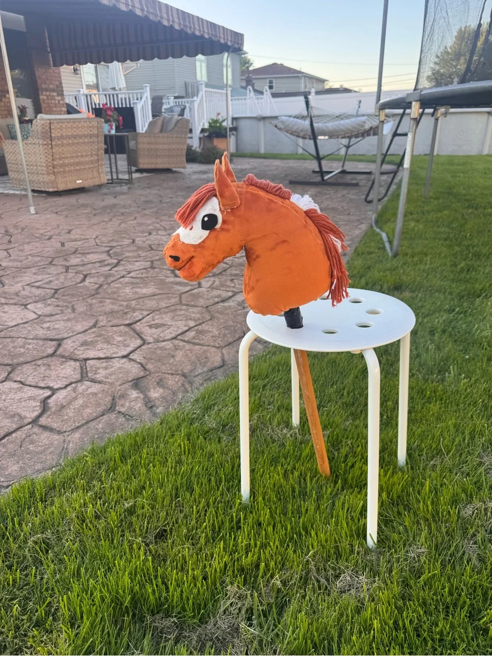 Hobby horse- “FSS Just Keep Swimming” AKA Nemo